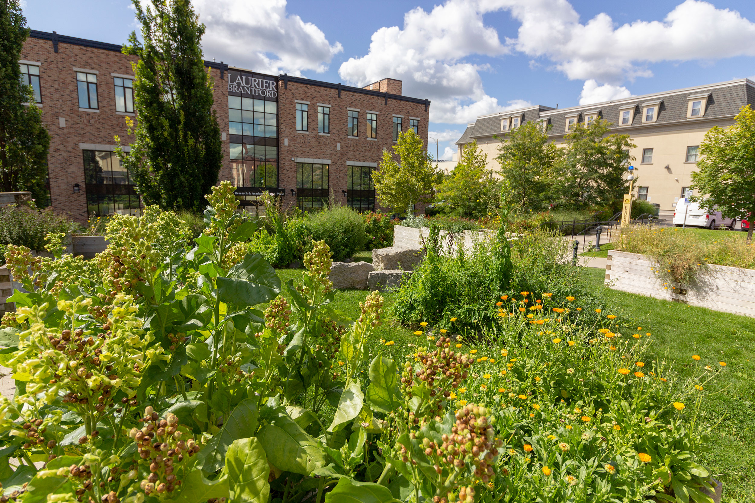 Research and Academic Centre Courtyard