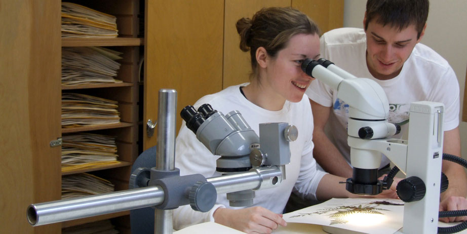 Two students looking through lens of microscope