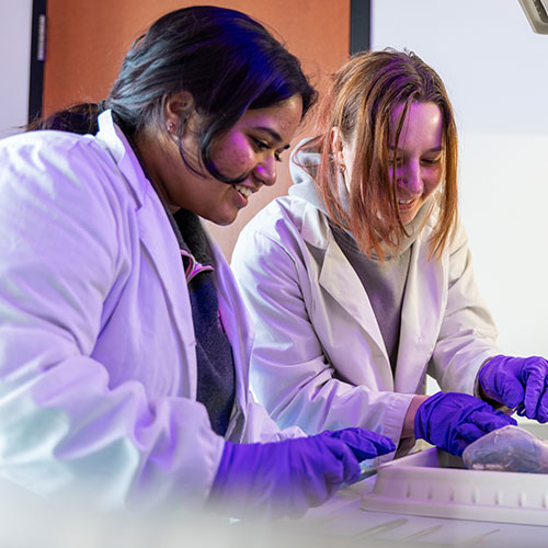 Two students analyzing specimen.