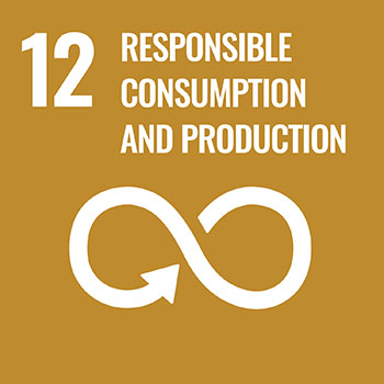 SDG goal 12: Responsible Consumption and Production