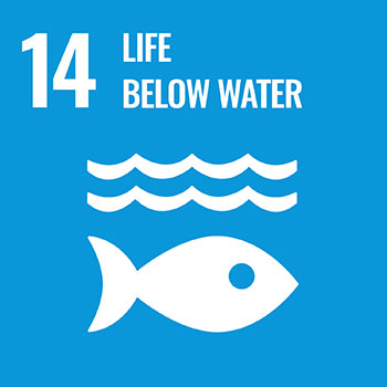 SDG 14: Life Below Water