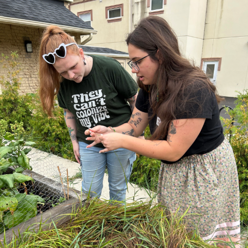Sam Lewis and Sieara Miller pick sweetgrass