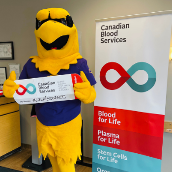 Golden Hawk mascot holding a sign that reads Laurier Cares.